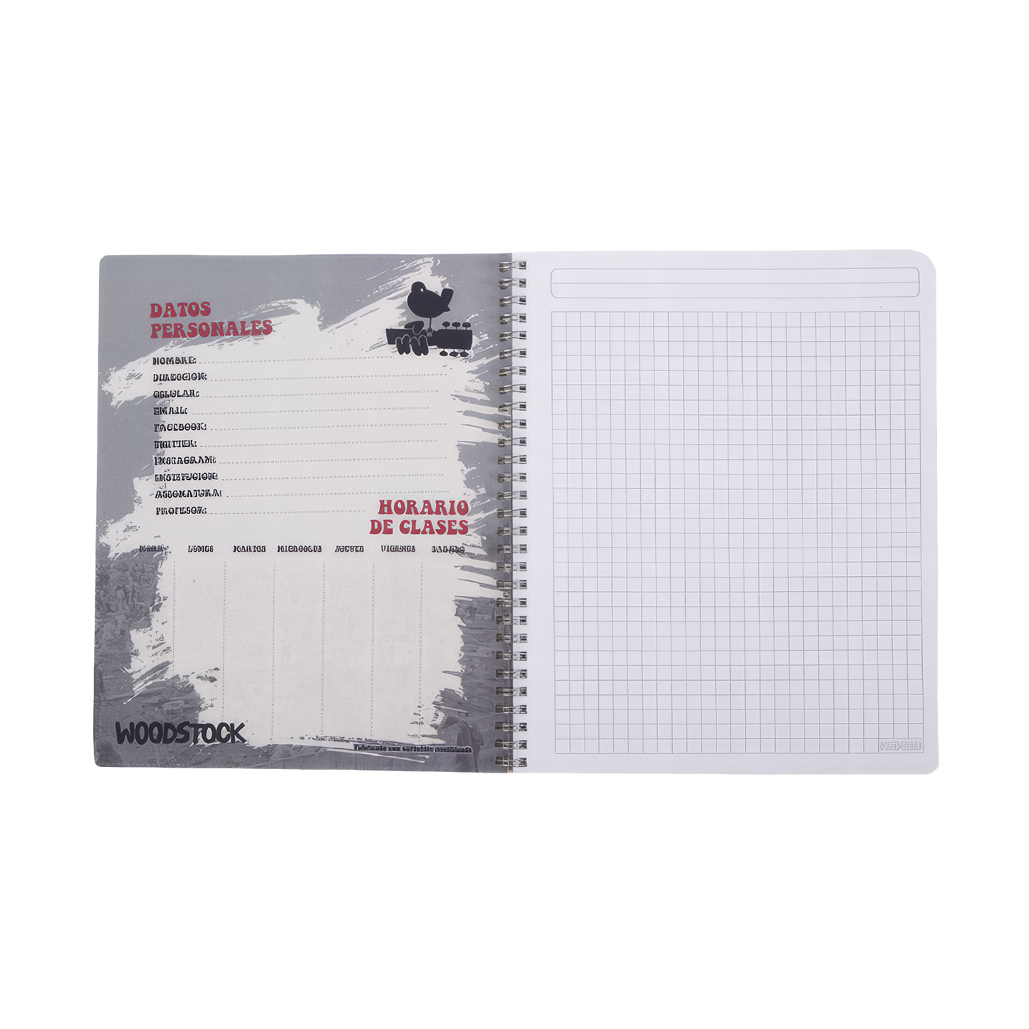 Woodstock Crowd & Camera Notebook