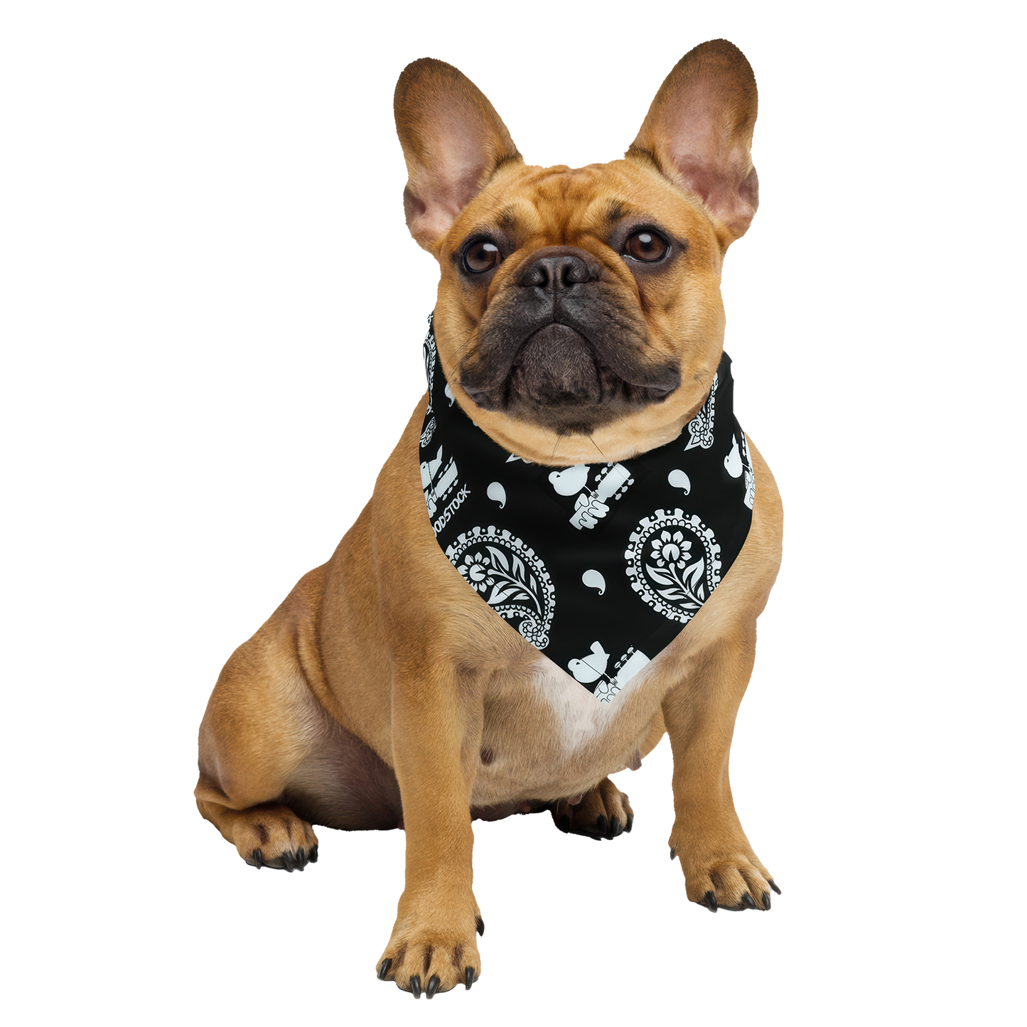 Woodstock Paisley Bandana