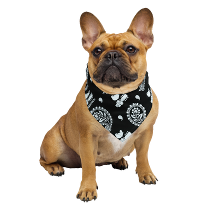 Woodstock Paisley Bandana