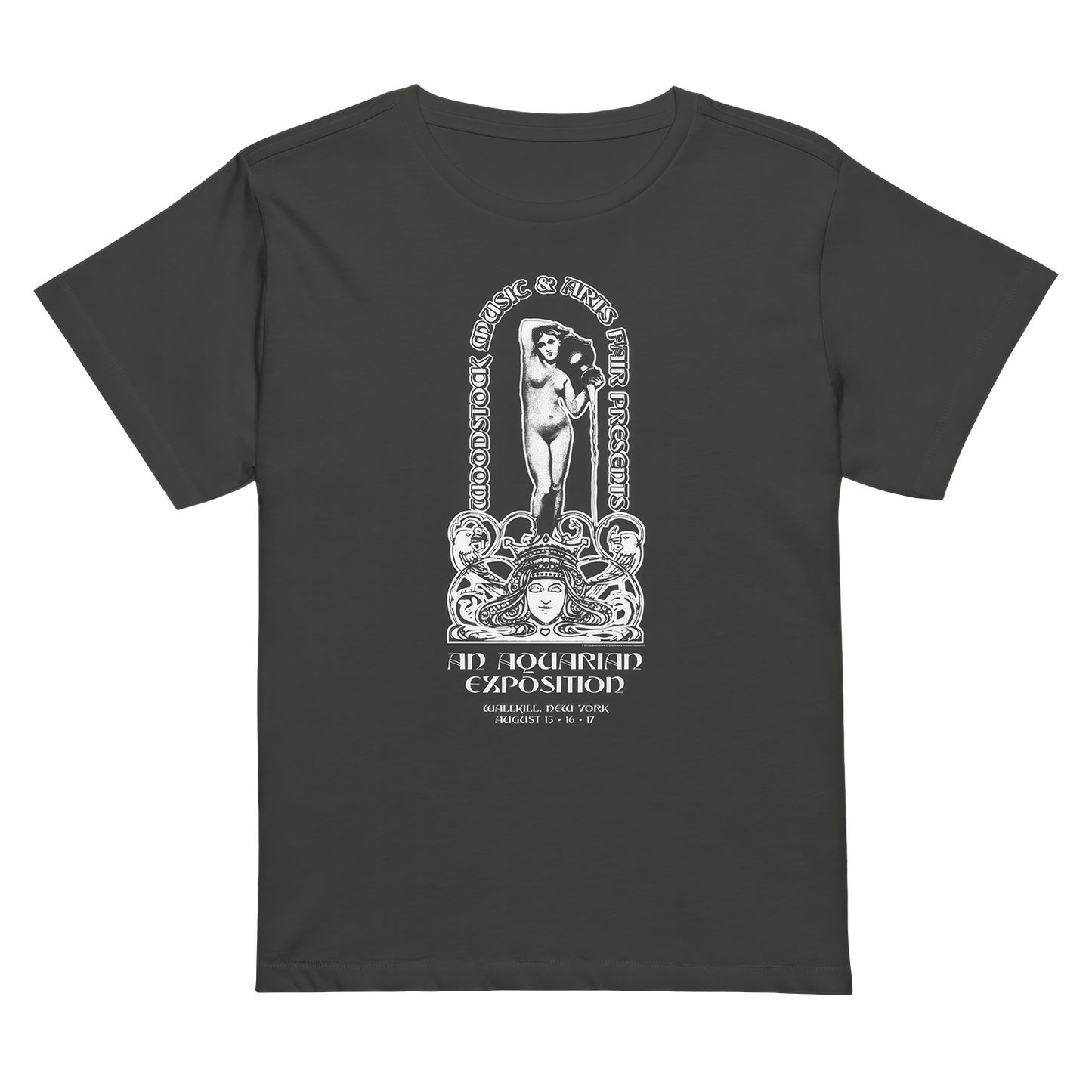 Music and Arts Fair Women's T-Shirt